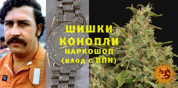 ПСИЛОЦИБИНОВЫЕ ГРИБЫ Алексин