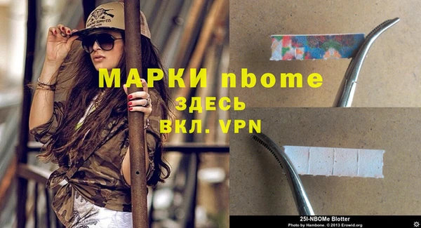 ПСИЛОЦИБИНОВЫЕ ГРИБЫ Алексин