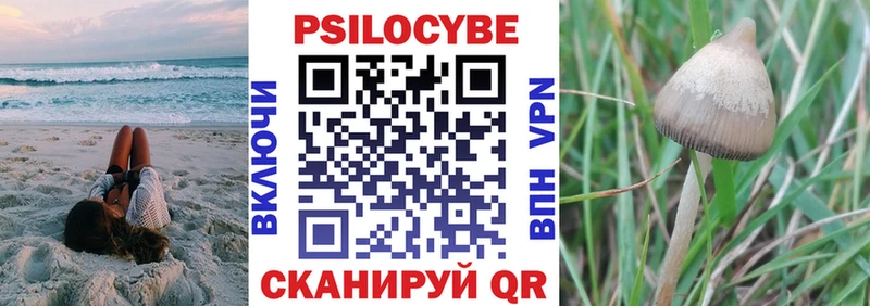 Псилоцибиновые грибы Psilocybine cubensis МЕГА ONION Нелидово
